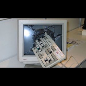 Meet your Posher, Jordon